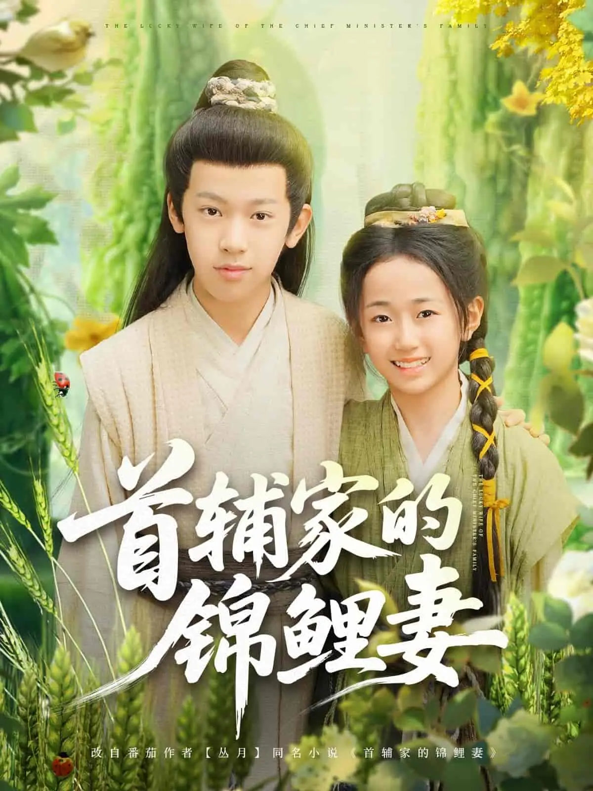 《首辅家的锦鲤妻》：穿越古代，锦鲤体质女主如何助首辅大人逆风翻盘，成就辉煌人生！